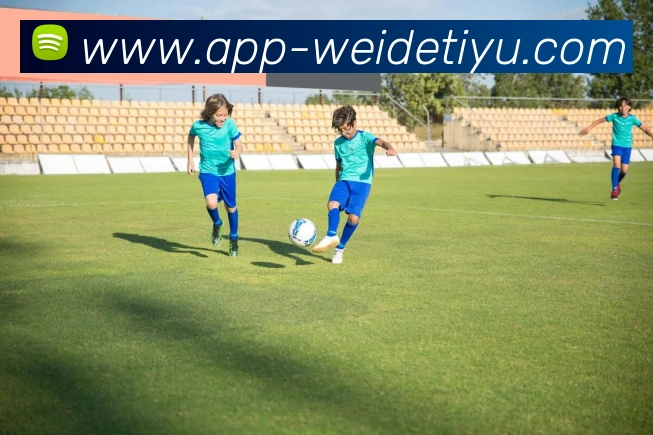 伟德体育发展历程